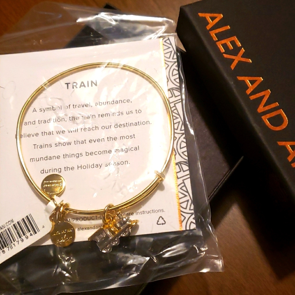 Alex and Ani Train bracelet